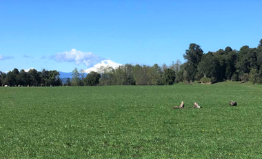 Parcela en Venta en Lago Puyehue-Mantilhue