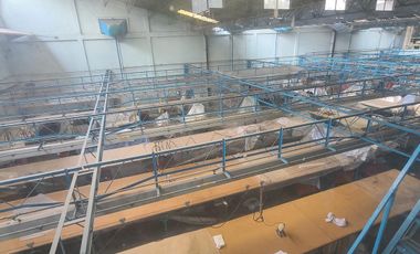 Bodega Industrial en Banjidal