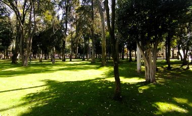 EXTRAORDINARIA CASA EN RENTA PEDREGAL DE SAN FRANCISCO, PARA ESTRENAR, VIGILANCIA