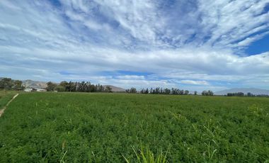 Campo con derechos de agua y tranque