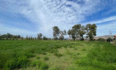 Campo con derechos de agua y tranque