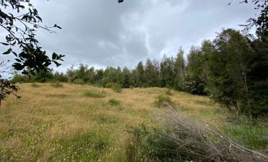 CONSTRUYE TU HOGAR EN EL PARAÍSO - PARCELA EN VENTA EN DALCAHUE, CHILOÉ