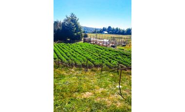 CONSTRUYE TU HOGAR EN EL PARAÍSO - PARCELA EN VENTA EN DALCAHUE, CHILOÉ