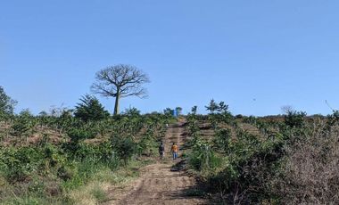 Finca en Venta Via a la Costa Km 36,5 , IngG