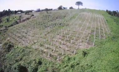 Finca en Venta Via a la Costa Km 36,5 , IngG