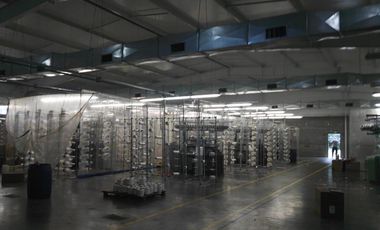 NAVE INDUSTRIAL EN GENERAL RODRIGUEZ  400 METROS  DE RUTA 24  APTO CATEGORIA 3