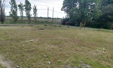 NAVE INDUSTRIAL EN GENERAL RODRIGUEZ  400 METROS  DE RUTA 24  APTO CATEGORIA 3