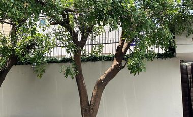 VENTA CASA EN ALVARO OBREGÓN