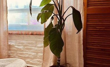 Casa en condominio en