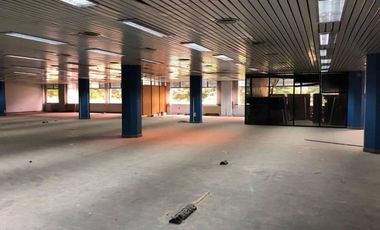 Deposito 10000 m2 - Hurlingham - Parque industrial