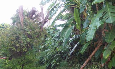 Terreno - Remedios De Escalada