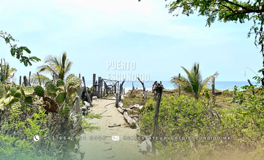 Terreno Frente al Mar con Cabañas Ecológicas