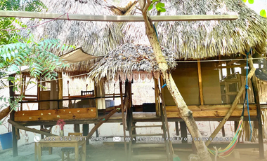 Terreno Frente al Mar con Cabañas Ecológicas