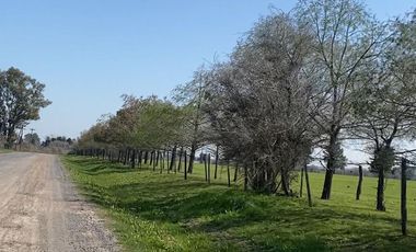 Campo en Venta, 14 Hectáreas, en Zarate, Escalada, G.B.A. Norte