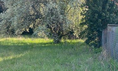 Campo en Venta, 14 Hectáreas, en Zarate, Escalada, G.B.A. Norte