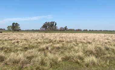 Campo en Venta, 14 Hectáreas, en Zarate, Escalada, G.B.A. Norte
