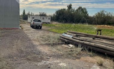 ALQUILER GALPÓN 250M2 (PREDIO 3100M2) - ISLA JORDAN, CIPOLLETTI