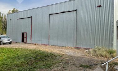 ALQUILER GALPÓN 250M2 (PREDIO 3100M2) - ISLA JORDAN, CIPOLLETTI