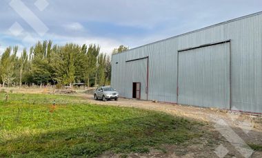 ALQUILER GALPÓN 250M2 (PREDIO 3100M2) - ISLA JORDAN, CIPOLLETTI