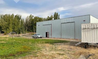 ALQUILER GALPÓN 250M2 (PREDIO 3100M2) - ISLA JORDAN, CIPOLLETTI