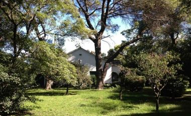 Casa antigua sobre 6 lotes en  Venta - Moreno