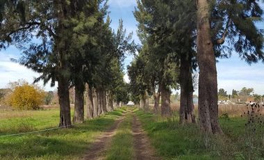 Terreno - Longchamps