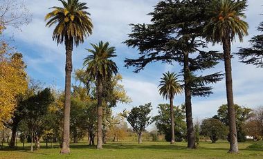 Terreno - Longchamps