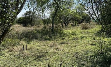 MAGNIFICOS TERRENOS CAMPESTRES (FRACC PUERTA DORADA)