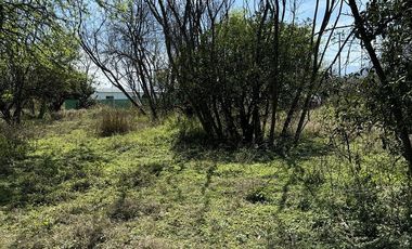 MAGNIFICOS TERRENOS CAMPESTRES (FRACC PUERTA DORADA)