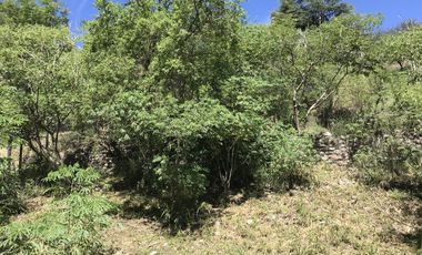 Terreno - Villa Los Aromos