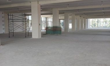 Bodega Industrial  Tlalpan - 5,000 m2