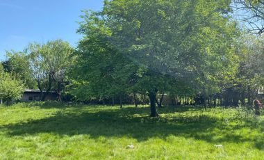 Quinta en Pontevedra