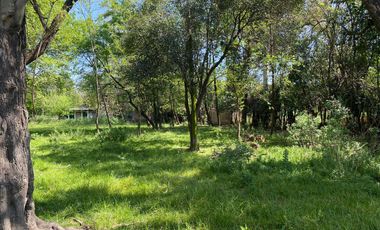 Quinta en Pontevedra