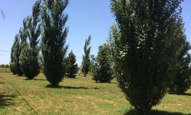 VENDE LOTES FINANCIADOS EN BARRIO DON HÉCTOR IBARLUCEA