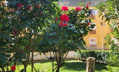 Departamento - Islas Malvinas