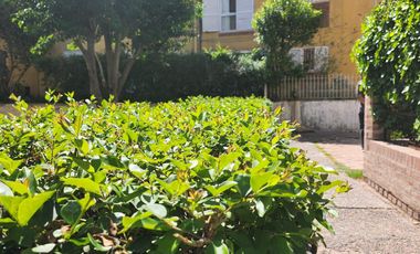 Departamento - Islas Malvinas