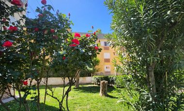 Departamento - Islas Malvinas