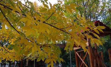 Casa - Parque Las Naciones