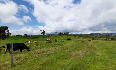 Venta de Finca en el Carmen de Viboral