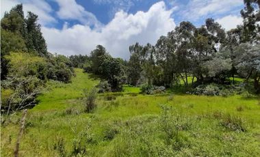 Venta de Finca en el Carmen de Viboral