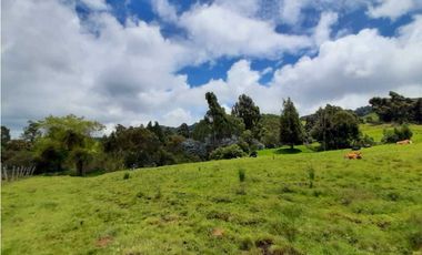 Venta de Finca en el Carmen de Viboral