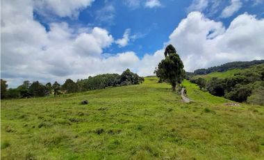 Venta de Finca en el Carmen de Viboral