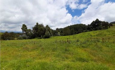 Venta de Finca en el Carmen de Viboral