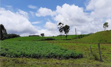 Venta de Finca en el Carmen de Viboral