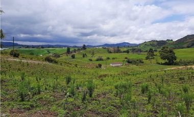 Venta de Finca en el Carmen de Viboral