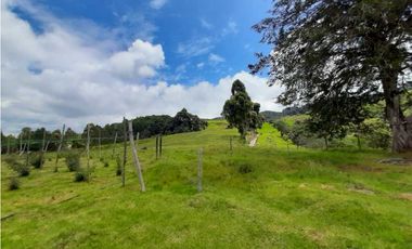 Venta de Finca en el Carmen de Viboral