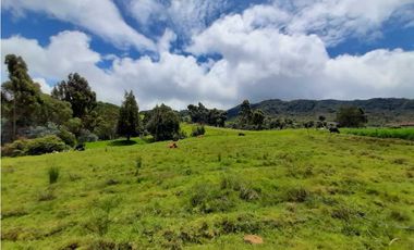 Venta de Finca en el Carmen de Viboral