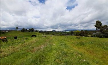 Venta de Finca en el Carmen de Viboral