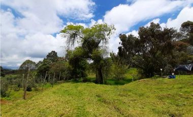 Venta de Finca en el Carmen de Viboral