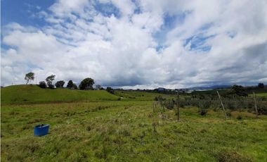 Venta de Finca en el Carmen de Viboral